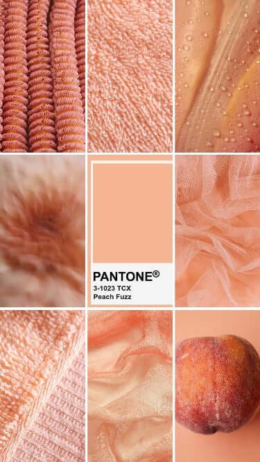 Pantone’s Color of the Year 2024 - Peach Fuzz